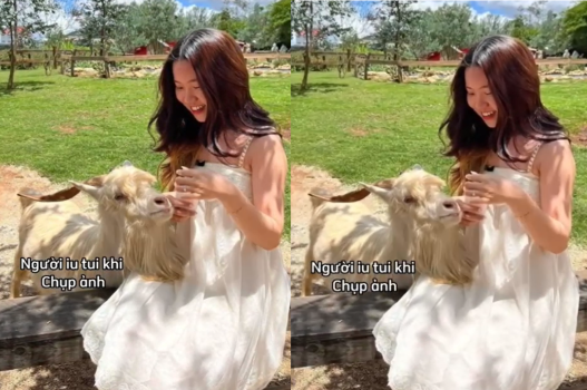 Tiểu thư yêu trai nghèo cu to